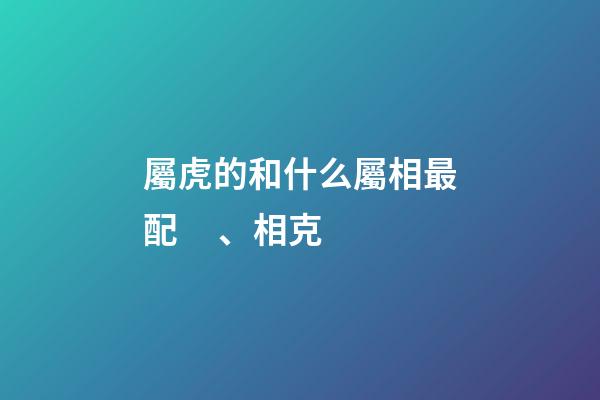 屬虎的和什么屬相最配、相克（屬虎女人最佳丈夫）-第1張-星座運勢-玄機派